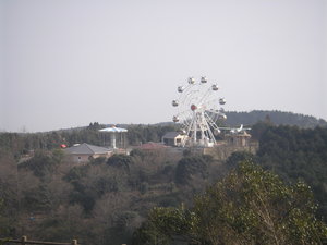 山茶花公園　