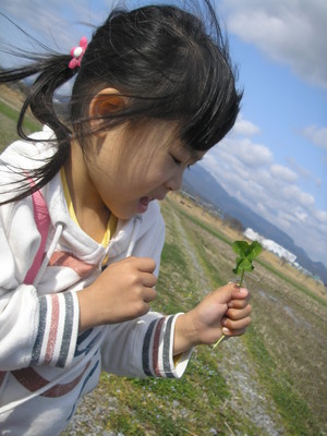 自転車メンテと菜の花