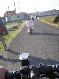 自転車メンテと菜の花