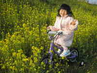 自転車メンテと菜の花