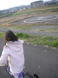 自転車メンテと菜の花