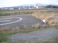 自転車メンテと菜の花