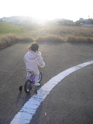 自転車メンテと菜の花