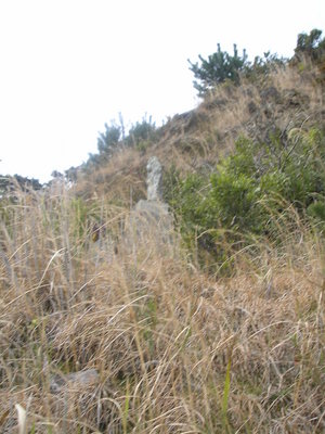 ポタリング森山町（春一番）