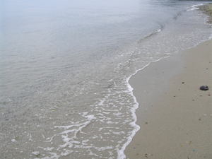 ツールド島原半島一周　最終章