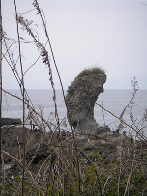 ツールド島原半島一周　最終章
