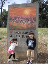 菜の花（白木峰高原）