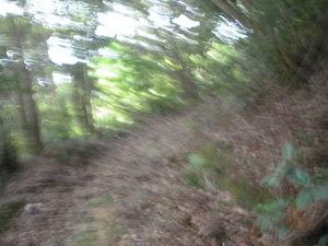 山で乗ってこそMTB（鈴田峠）①