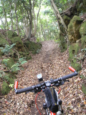 山で乗ってこそMTB（鈴田峠）①