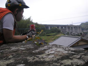 山で乗ってこそMTB（鈴田峠）①