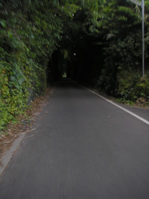 島原半島真っ二つサイクリング①
