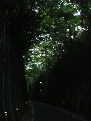 島原半島真っ二つサイクリング①