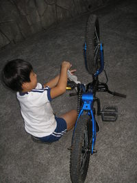 カボスと栗と自転車