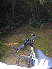 自転車ハプニング２回目 2008/12/03 19:54:56