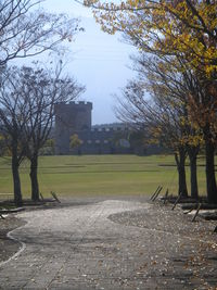 ドラゴンクエスト（百花台公園） 2008/11/23 08:21:51