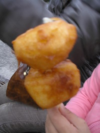 千々石探索