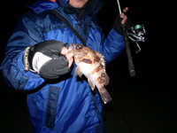 とある釣り人の強化トレーニング 2010/03/21 14:09:30