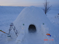 IGLOO