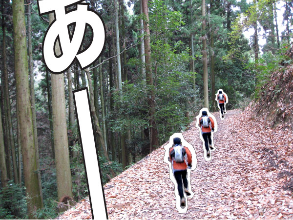 生駒山　トレイルランニング