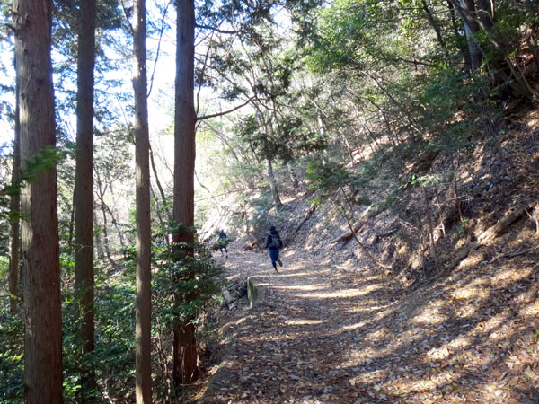第19回 東山三十六峰マウンテンマラソン