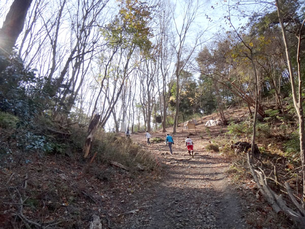 第19回 東山三十六峰マウンテンマラソン