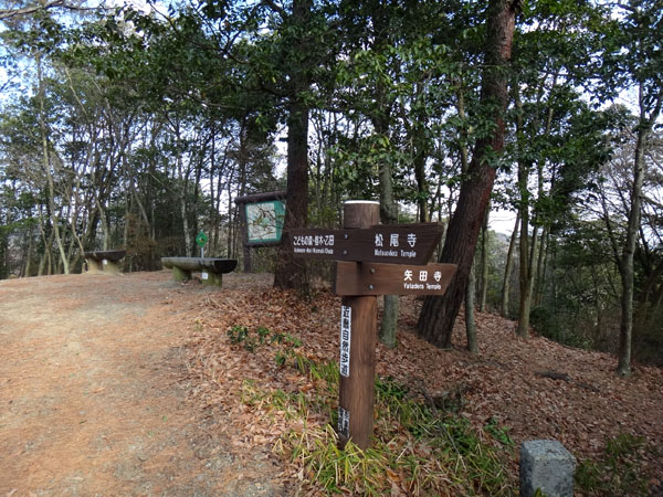 トレイルラン 矢田丘陵 矢田山自然公園
