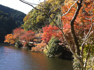 迷い家を求めて 紅葉 まだ早いのか