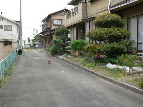 お出掛け　２