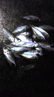 アジアジ♪ 2012/01/22 14:12:48