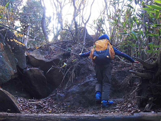 11/17　愛鷹連山～越前岳～