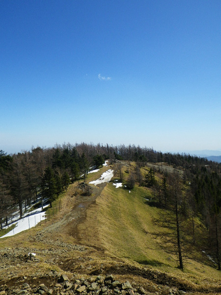 快晴！の雲取山