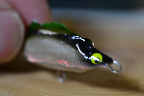 【速報】ミノーが脱皮しました☆