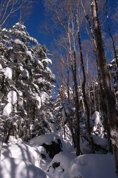快晴の蓼科山