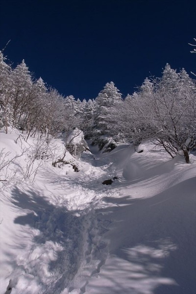 快晴の蓼科山