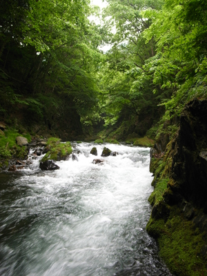 桂川支流（大月地区）