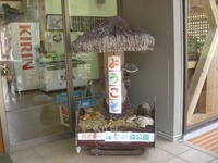 連休前半はのんびりキャンプ♪　②（大野山登山) 2013/05/08 10:30:40
