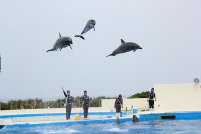 沖縄　その２