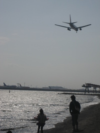 城南島海浜公園withコールマン