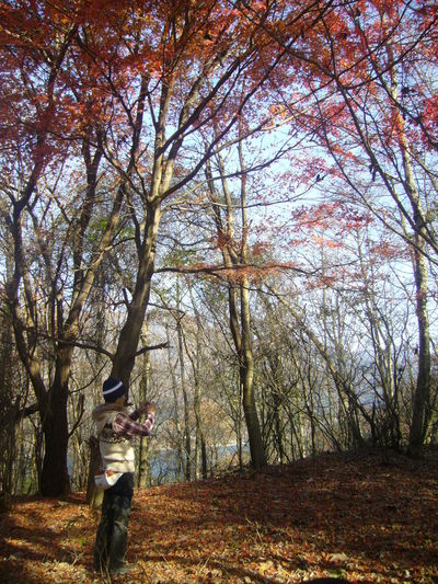 紅葉台と三湖台