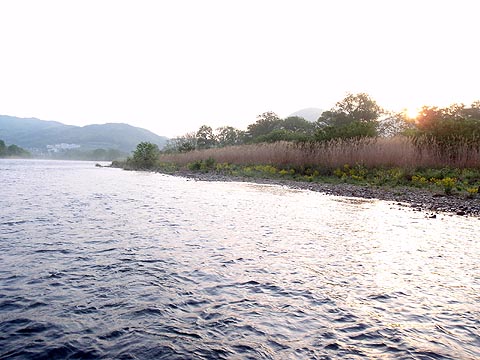 釣行報告（５月２２日）飛ばしすぎ・・・