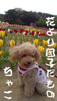 困った時の......