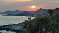 太陽さん、出ました！
