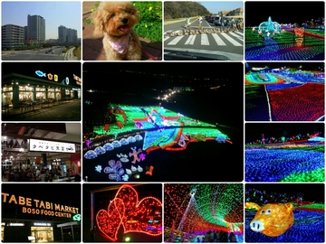 東京ドイツ村のイルミネーション
