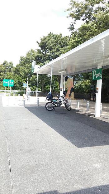 御殿場　やまぼうしキャンプ場