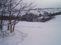 PEACE 2011/02/21 23:18:28