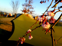 お付き合いcamp