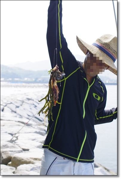 真夏の多々羅キャンプ場