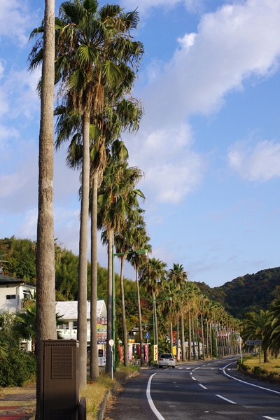 KATAZOE祭　2012
