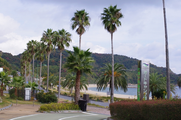 KATAZOE祭　2012