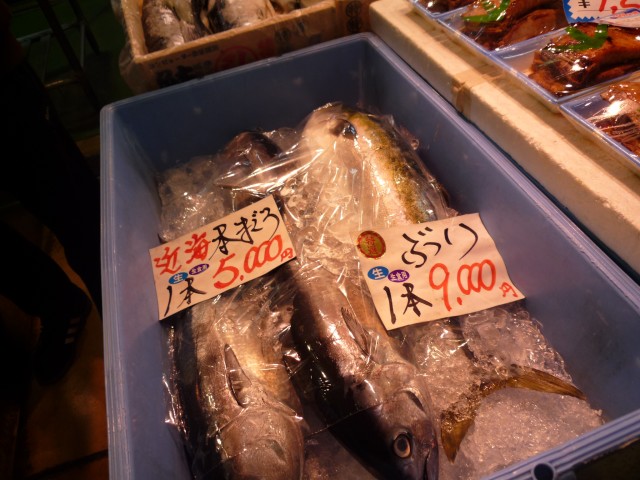 魚屋が逝く！魚センター